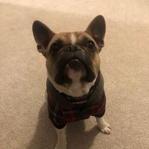 Meet your Posher, Jacob